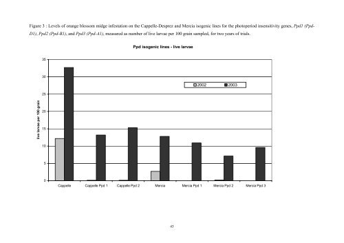 Integrated control of wheat blossom midge - HGCA