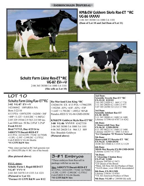 View sale catalog here! - Red & White Dairy Cattle Association