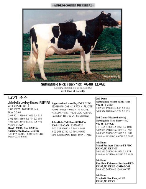 View sale catalog here! - Red & White Dairy Cattle Association