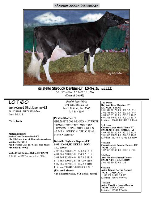 View sale catalog here! - Red & White Dairy Cattle Association