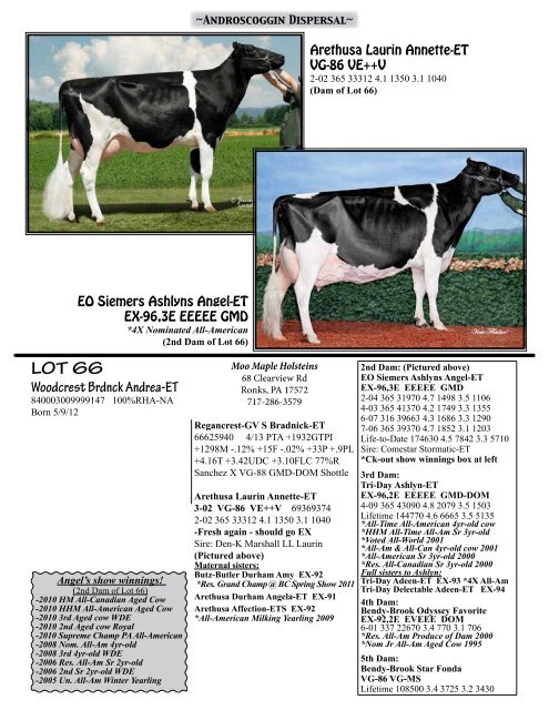 View sale catalog here! - Red & White Dairy Cattle Association