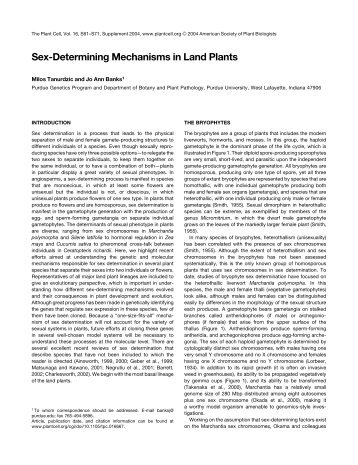 Sex-Determining Mechanisms in Land Plants - Barley World