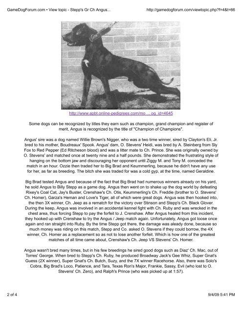 pitbull pedigree online