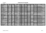 FunktionÃ¤re FC Hergiswil