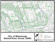 Natural Areas Survey (NAS) Site: CV2 - City of Mississauga