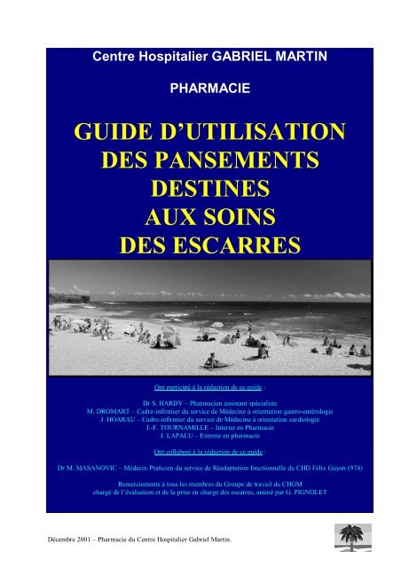 GUIDE D'UTILISATION DES PANSEMENTS DESTINES ... - ADIPh