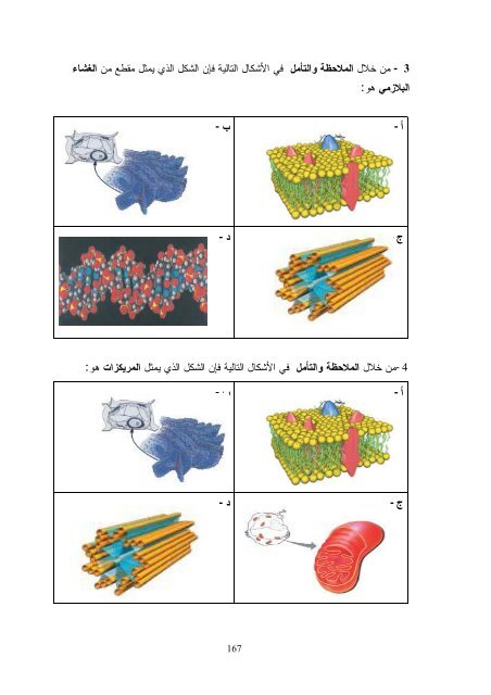 Ø§Ø«Ø± Ø§Ø³ØªØ®Ø¯Ø§Ù Ø§Ø³ØªØ±Ø§ØªÙØ¬ÙØ© Ø§ÙÙØªØ´Ø§Ø¨ÙØ§Øª ÙÙ ØªÙÙÙØ© Ø¹ÙÙÙØ§Øª Ø§ÙØ¹ÙÙ Ù ÙÙØ§Ø±Ø§Øª ...