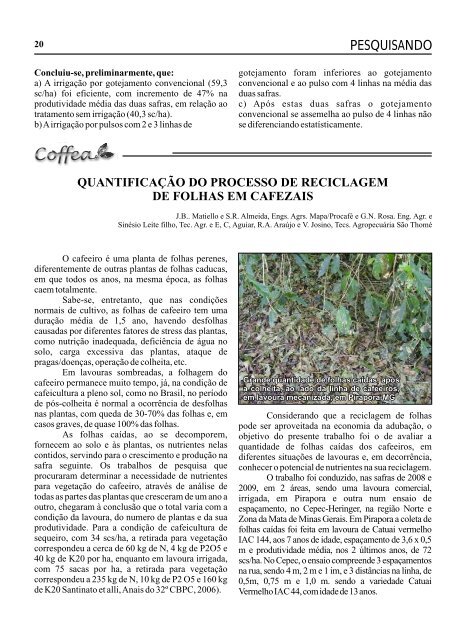 Revista Coffea - Número 16 - Fundação Procafé