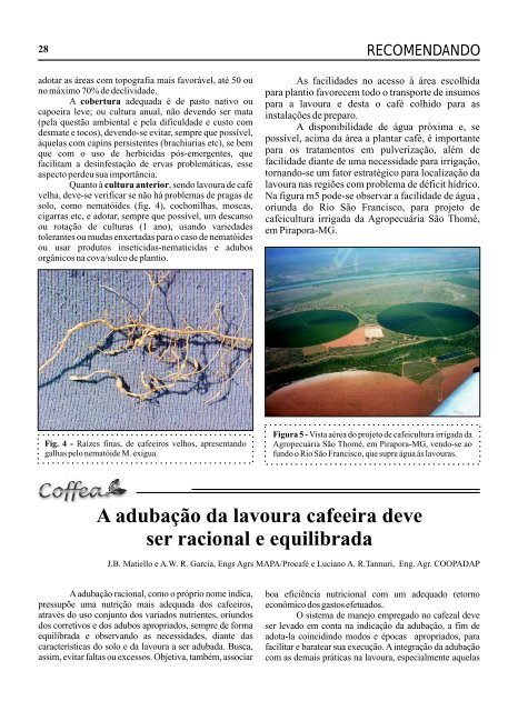 Revista Coffea - Número 16 - Fundação Procafé