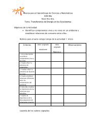 Rubricas para actividades de Transferencia de energia - Alacima