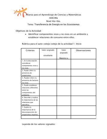 Rubricas para actividades de Transferencia de energia - Alacima