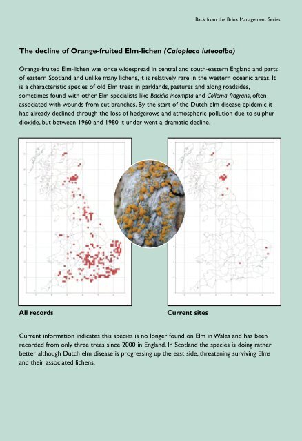 Lichens and elm trees - Plantlife