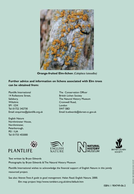 Lichens and elm trees - Plantlife
