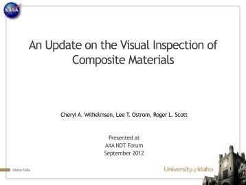An Update on the Visual Inspection of Composite Materials