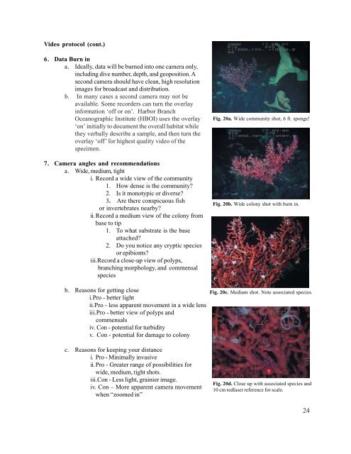 Deep-Sea Coral Collection Protocols - NOAA's Coral Reef ...