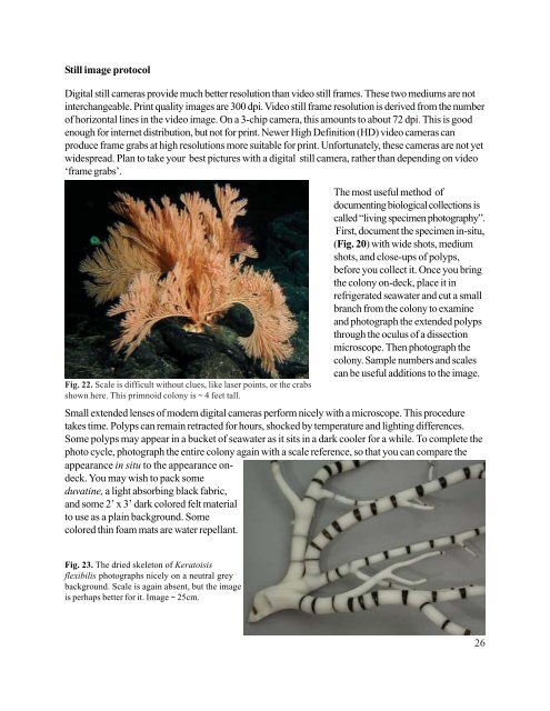 Deep-Sea Coral Collection Protocols - NOAA's Coral Reef ...