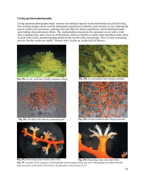Deep-Sea Coral Collection Protocols - NOAA's Coral Reef ...