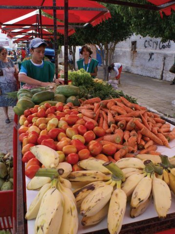 Agroecologia e Economia SolidÃ¡ria - AgriCultures Network