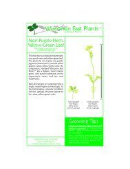 Stock doc - Non-purple Yellow-green.p65 - Fast Plants