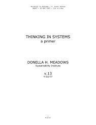 THINKING IN SYSTEMS - Natural Capitalism Solutions
