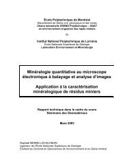 MinÃ©ralogie quantitative au microscope Ã©lectronique Ã  balayage et ...