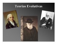 Teorias Evolutivas