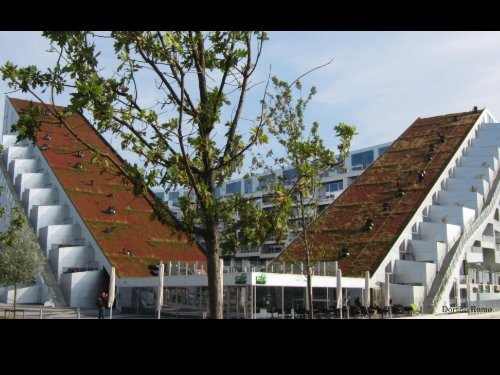 Green Roofs in Copenhagen - Vand i Byer