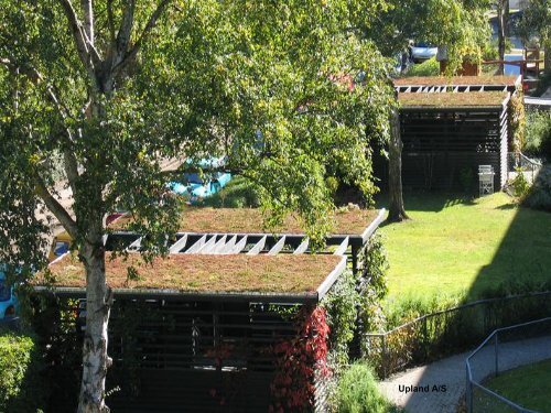 Green Roofs in Copenhagen - Vand i Byer