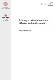 Emanuel Isaksson - CivilingenjÃ¶rsprogrammet i miljÃ¶- och vattenteknik