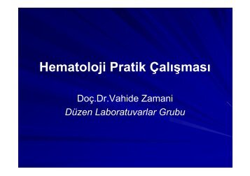 Hematoloji Pratik ÃalÄ±ÅmasÄ± - DÃ¼zen Laboratuvarlar Grubu