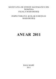societatea de ÅtiinÅ£e matematice din - Prof. Univ. Dr. Vasile Berinde ...