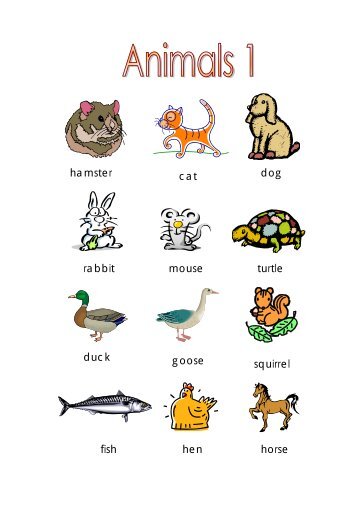 dog cat turtle mouse rabbit squirrel hamster horse goose duck hen fish