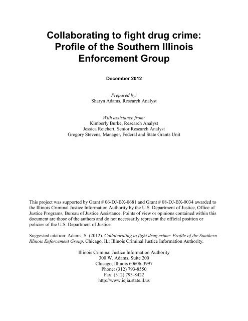 Profile of the Southern Illinois Enforcement Group - Illinois Criminal ...