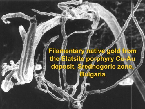 Filamentary native gold from the Elatsite porphyry Cu-Au deposit ...