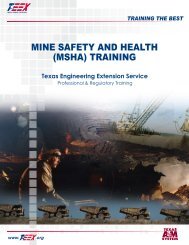 Mine Safety and HealtH (MSHa) training - Texas Engineering ...
