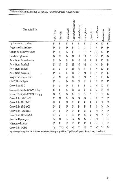 , Diagnosis an-&& of Shrimp Diseases - Central Institute of ...