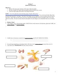 Biology 9 Endocrine System Lab Objectives ... - Fog.ccsf.edu