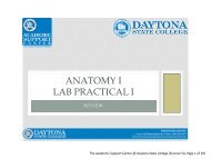 Anatomy I Lab Practical I Presentation - Daytona State College