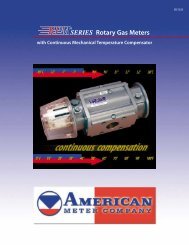 SERIES Rotary Gas Meters