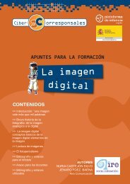 La imagen digital - Aire ComunicaciÃ³n