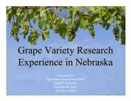 Grape Variety Research Experience in Nebraska - Viticulture Iowa ...