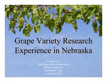 Grape Variety Research Experience in Nebraska - Viticulture Iowa ...