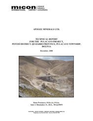 apogee minerals ltd. technical report for the pulacayo project, potosí ...