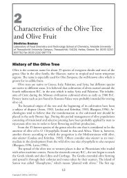 Characteristics of the Olive Tree and Olive Fruit