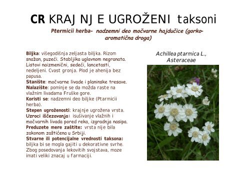 Koristi se - Raka Web