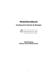 Modulhandbuch Master Wirtschaftschemie