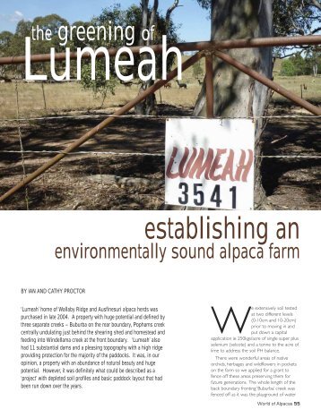The greening of Lumeah - Wallaby Ridge Suri Alpacas