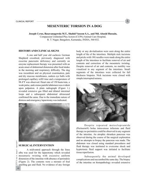 Mesenteric torsion in dogs - Jivaonline.net