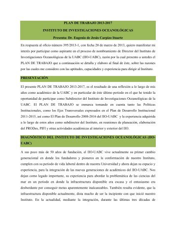 PLAN DE TRABAJO 2013-2017 INSTITUTO DE INVESTIGACIONES ...