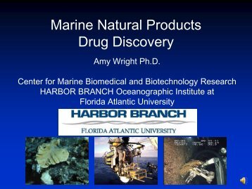 Marine Natural Products Drug Discovery (DM) - University of Miami